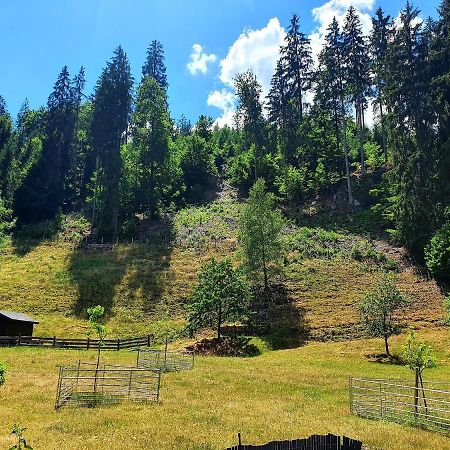Ferienwohnung Bei Vogel Geroldsgrun Екстер'єр фото