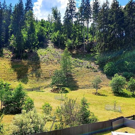 Ferienwohnung Bei Vogel Geroldsgrun Екстер'єр фото